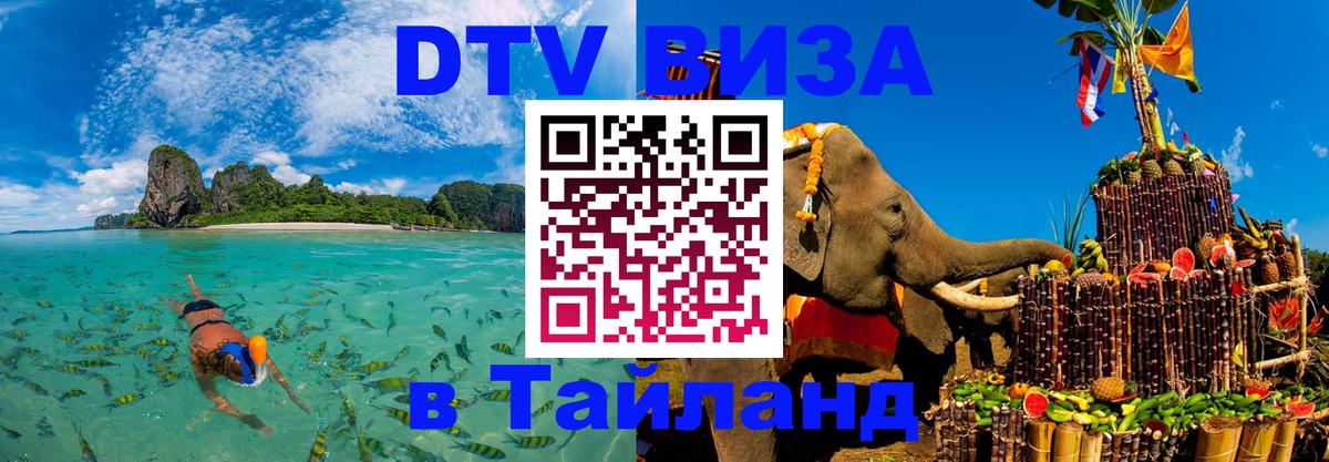 Сколько стоит DTV виза — актуальные цены, оформление даже без документов - 18.11.2025 